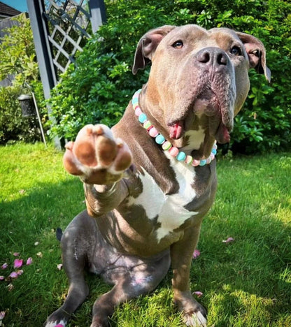 Bubblegum Beaded Dog Collar | Necklace