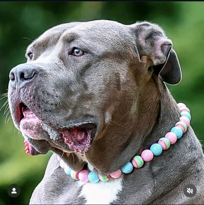Bubblegum Beaded Dog Collar | Necklace