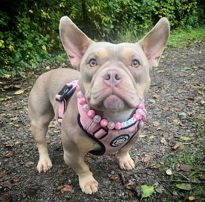 Crystal Heart Pink Beaded Dog Collar | Necklace