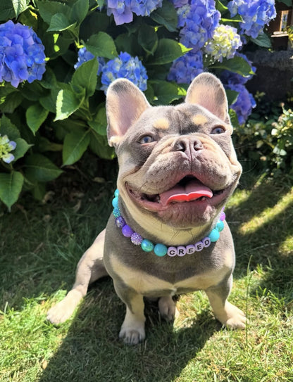 Gunner Beaded Dog Collar | Necklace