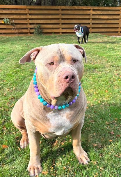 Gunner Beaded Dog Collar | Necklace
